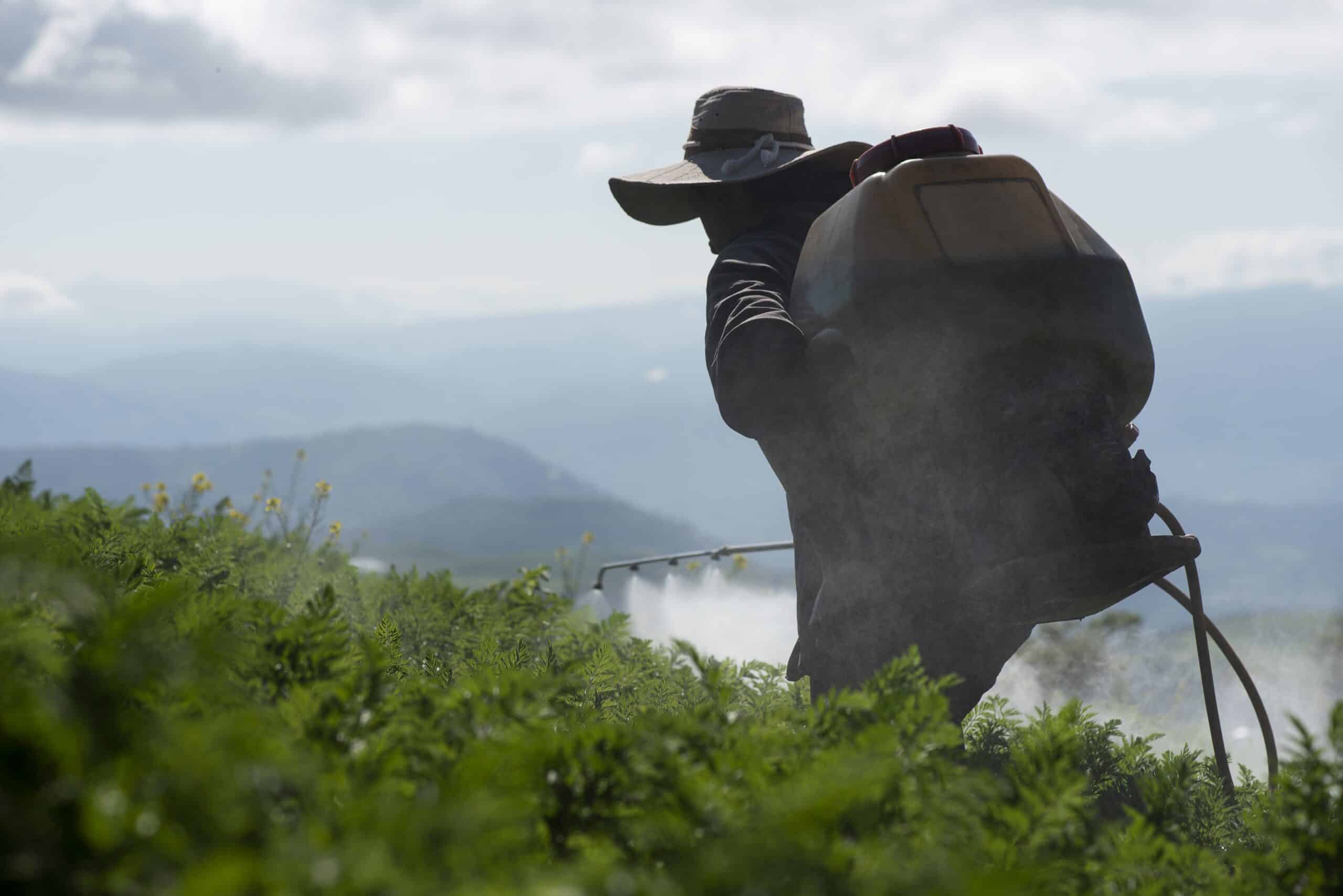 Syngenta-Pestizid vergiftet Trinkwasser in Costa Rica 
